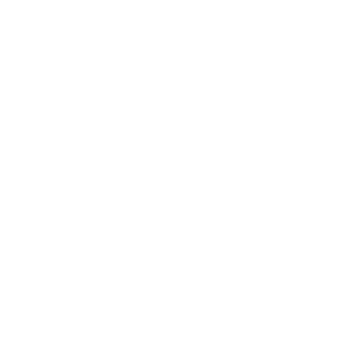 Fuzzr